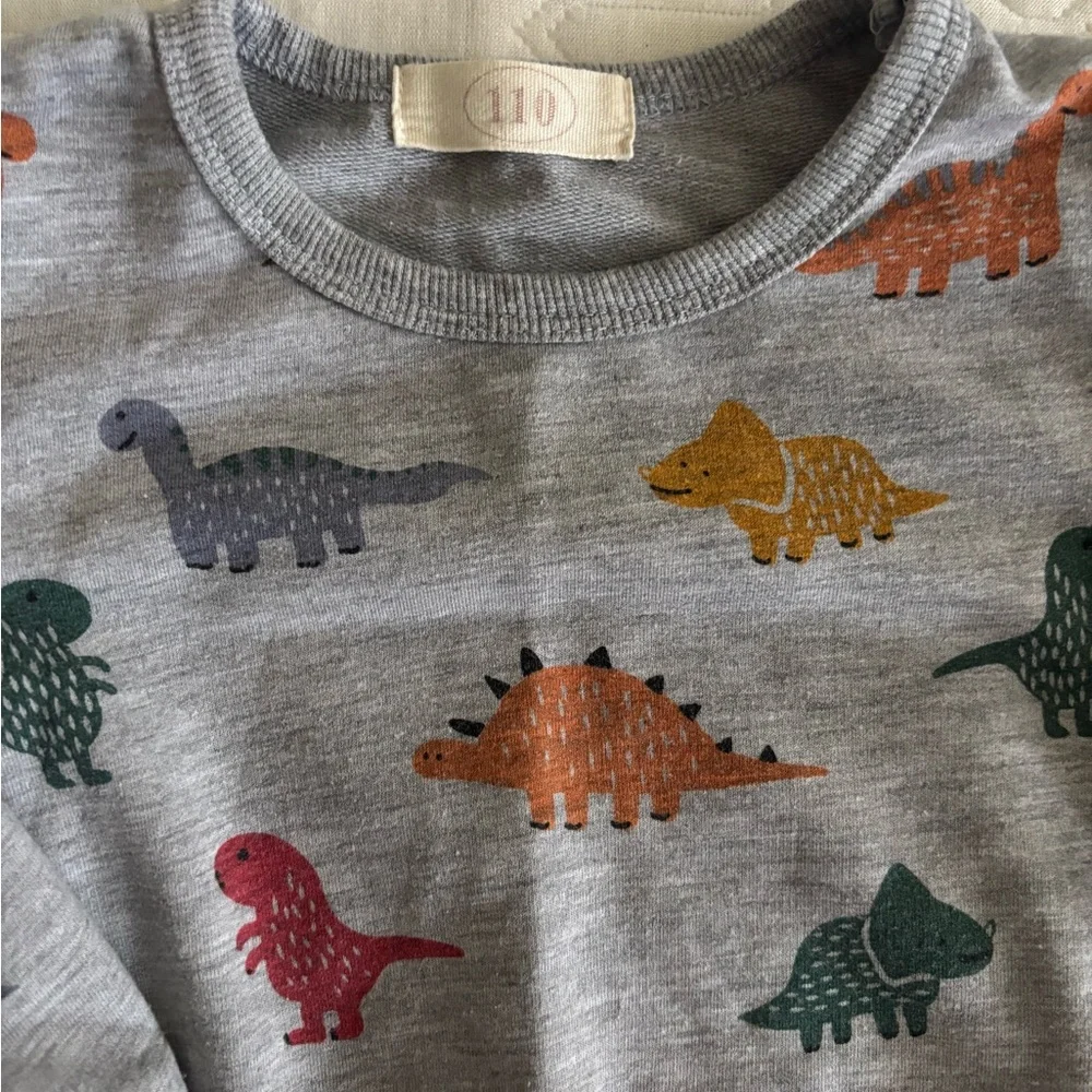 Gray Dinosaur EUC Print Baby Outfit